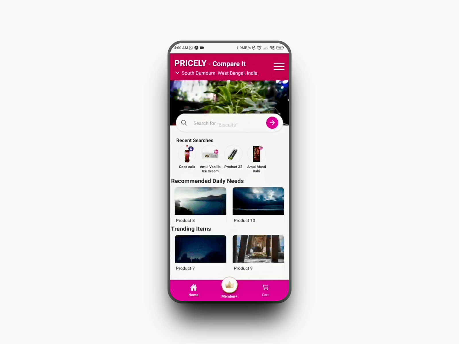 Pricely Mobile Application Interface